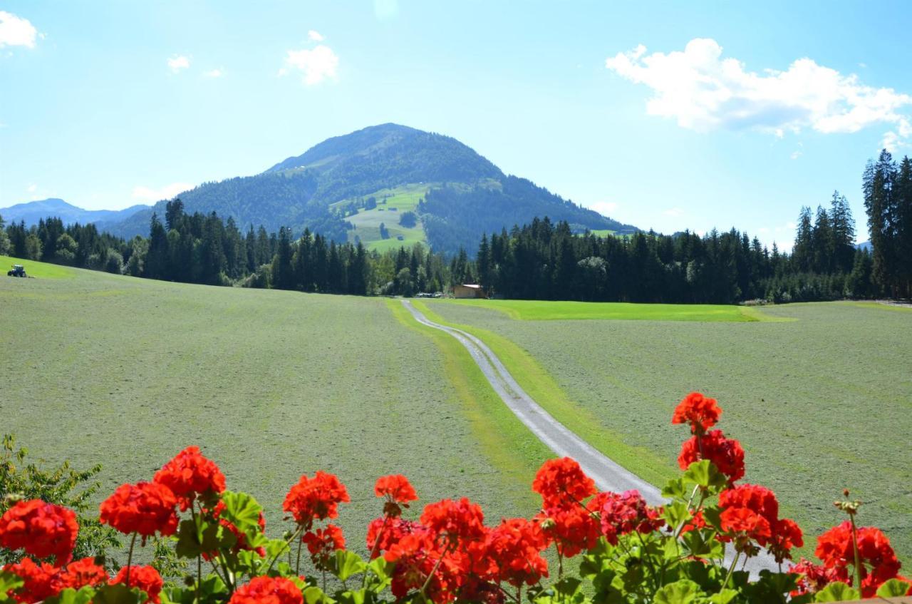 Pension Woetzinghof Kirchberg in Tirol Eksteriør bilde