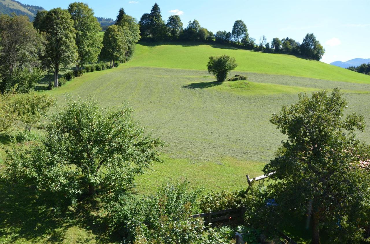Pension Woetzinghof Kirchberg in Tirol Eksteriør bilde