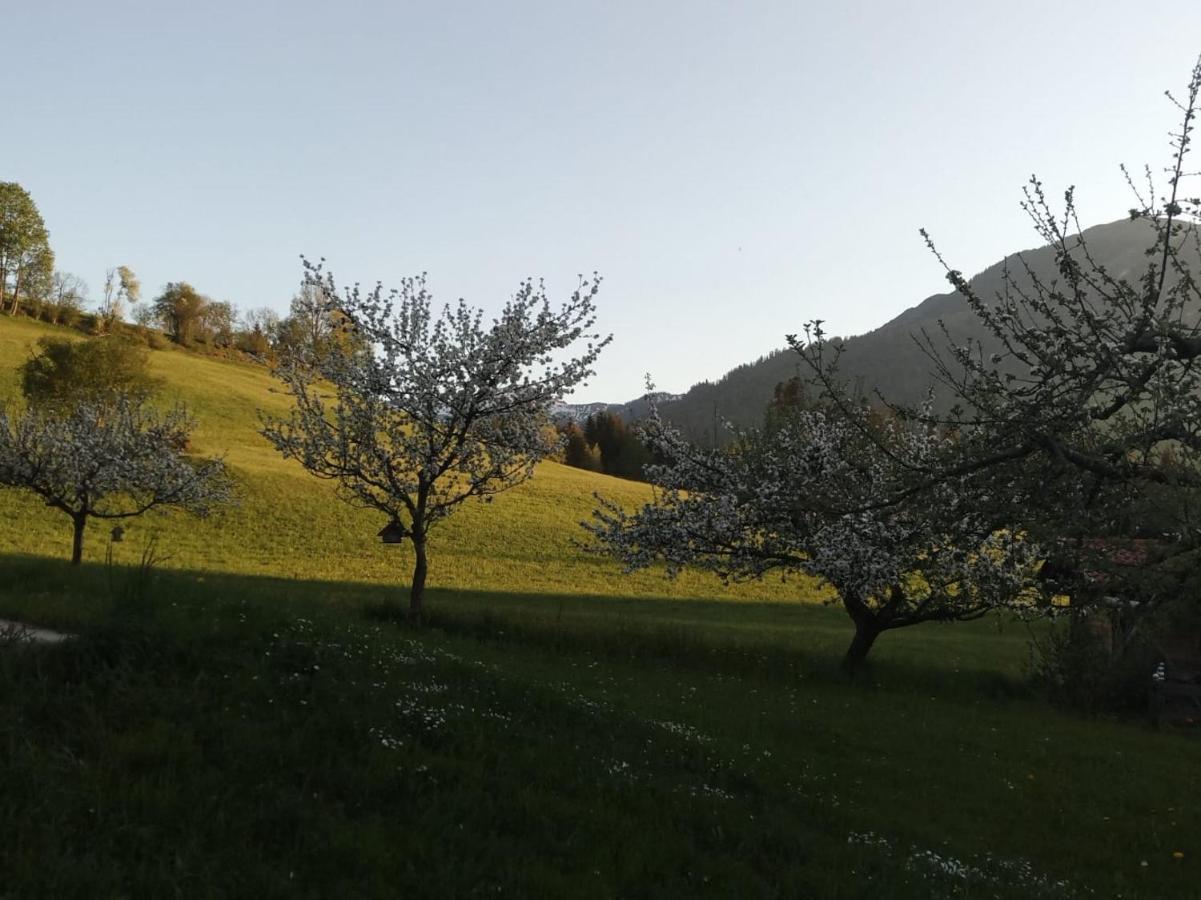 Pension Woetzinghof Kirchberg in Tirol Eksteriør bilde