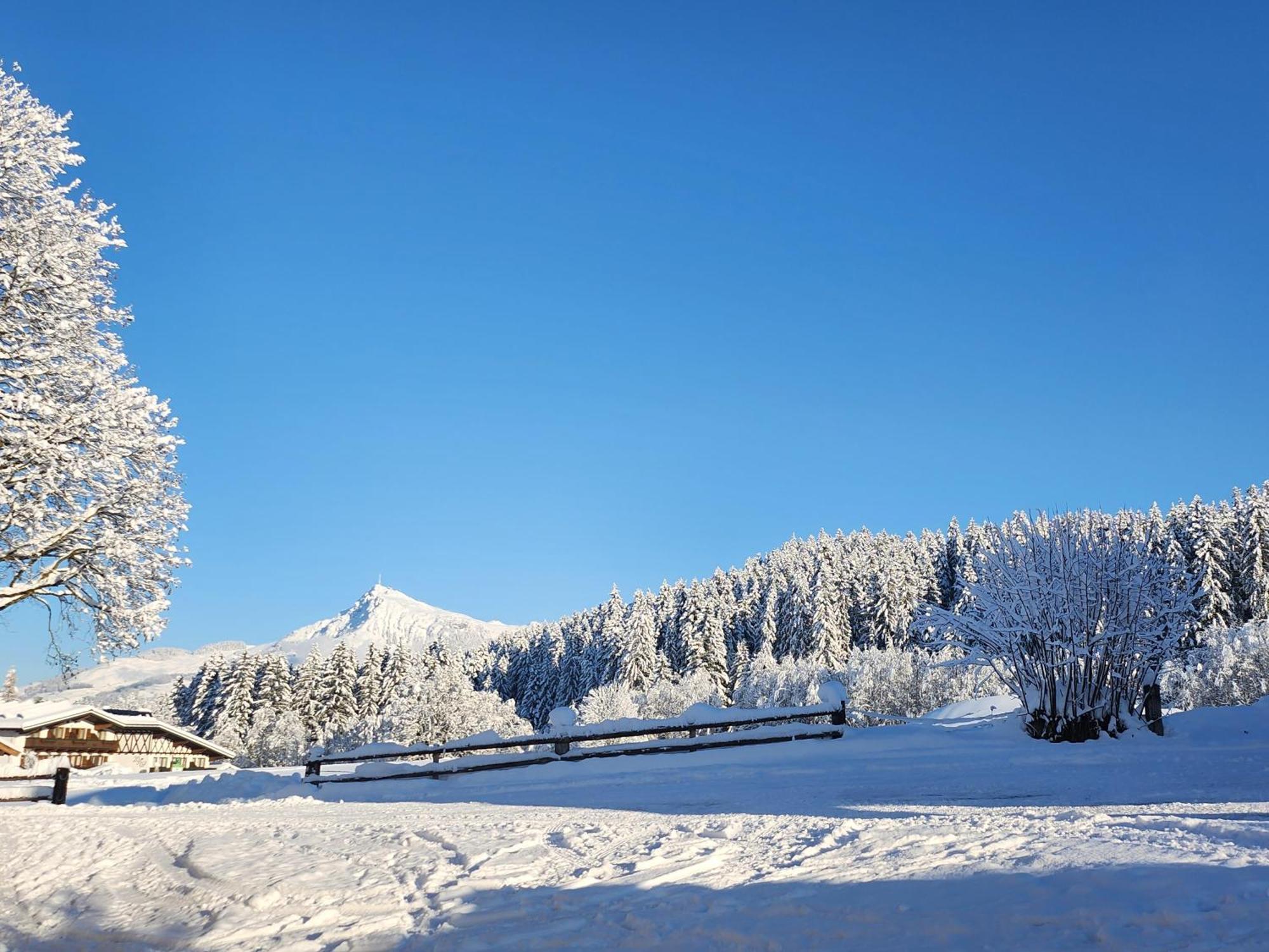 Pension Woetzinghof Kirchberg in Tirol Eksteriør bilde