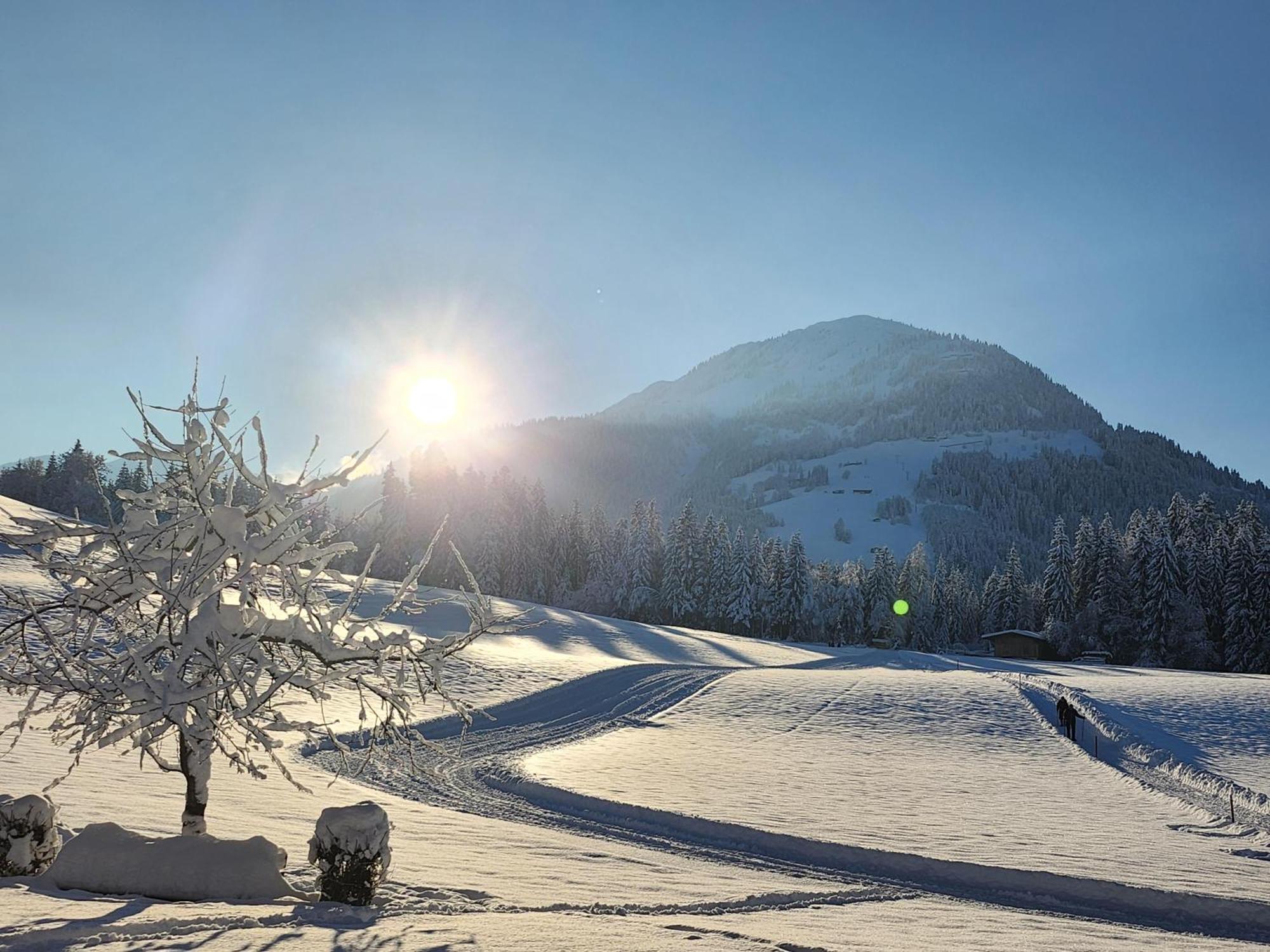 Pension Woetzinghof Kirchberg in Tirol Eksteriør bilde