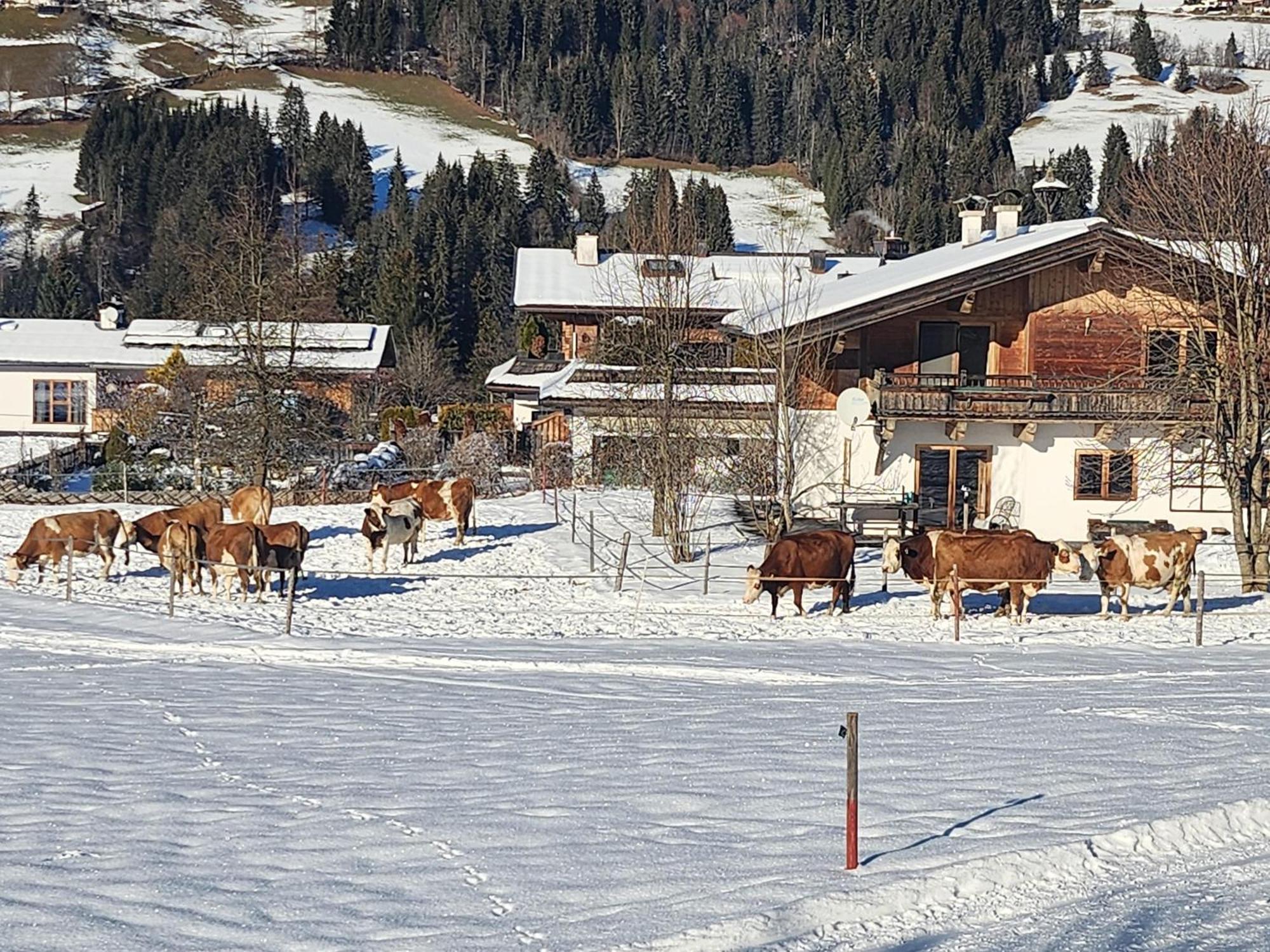 Pension Woetzinghof Kirchberg in Tirol Eksteriør bilde